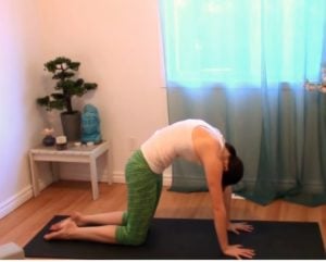 Errors of previous warm before ww1