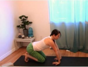 Previous Warm Up Exercises for Yoga
