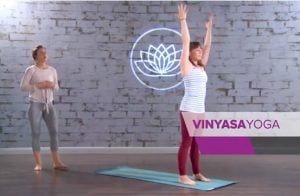 types of Yoga exerciser