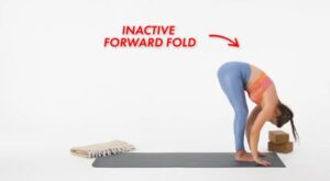 sun salutation meaning