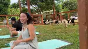 Goat Yoga photos