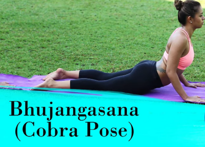 cobra pose images