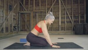 crow pose progression